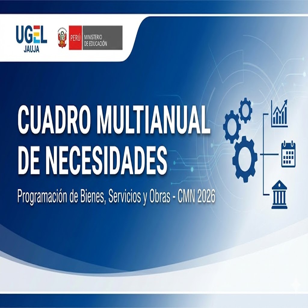 CUADRO MULTIANUAL DE NECESIDADES (CMN)