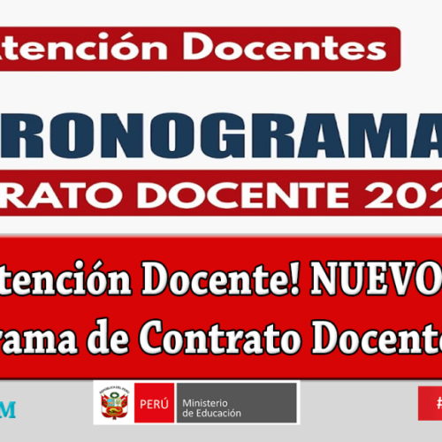 CONTRATA DOCENTE 2022