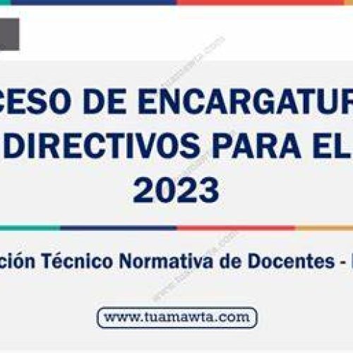 CRONOGRAMA DEL PROCESO DE ENCARGATURA 2024